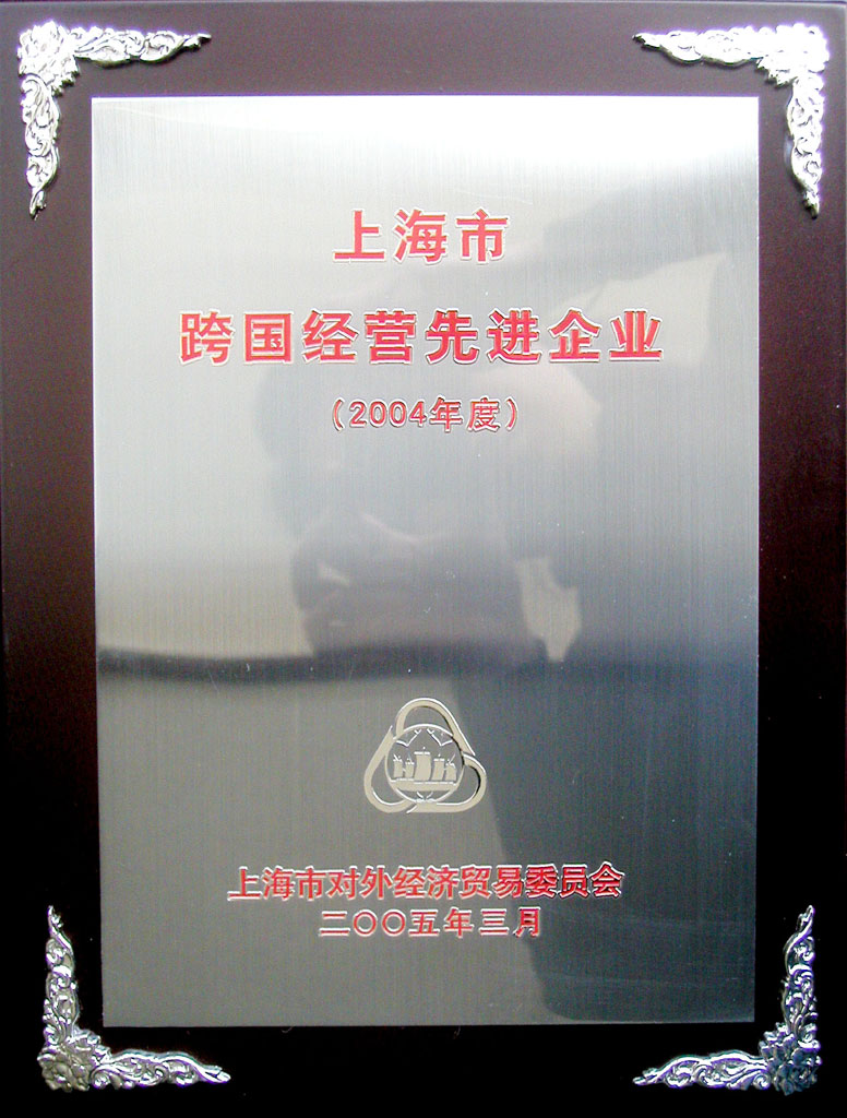2004年中国经营先进企业